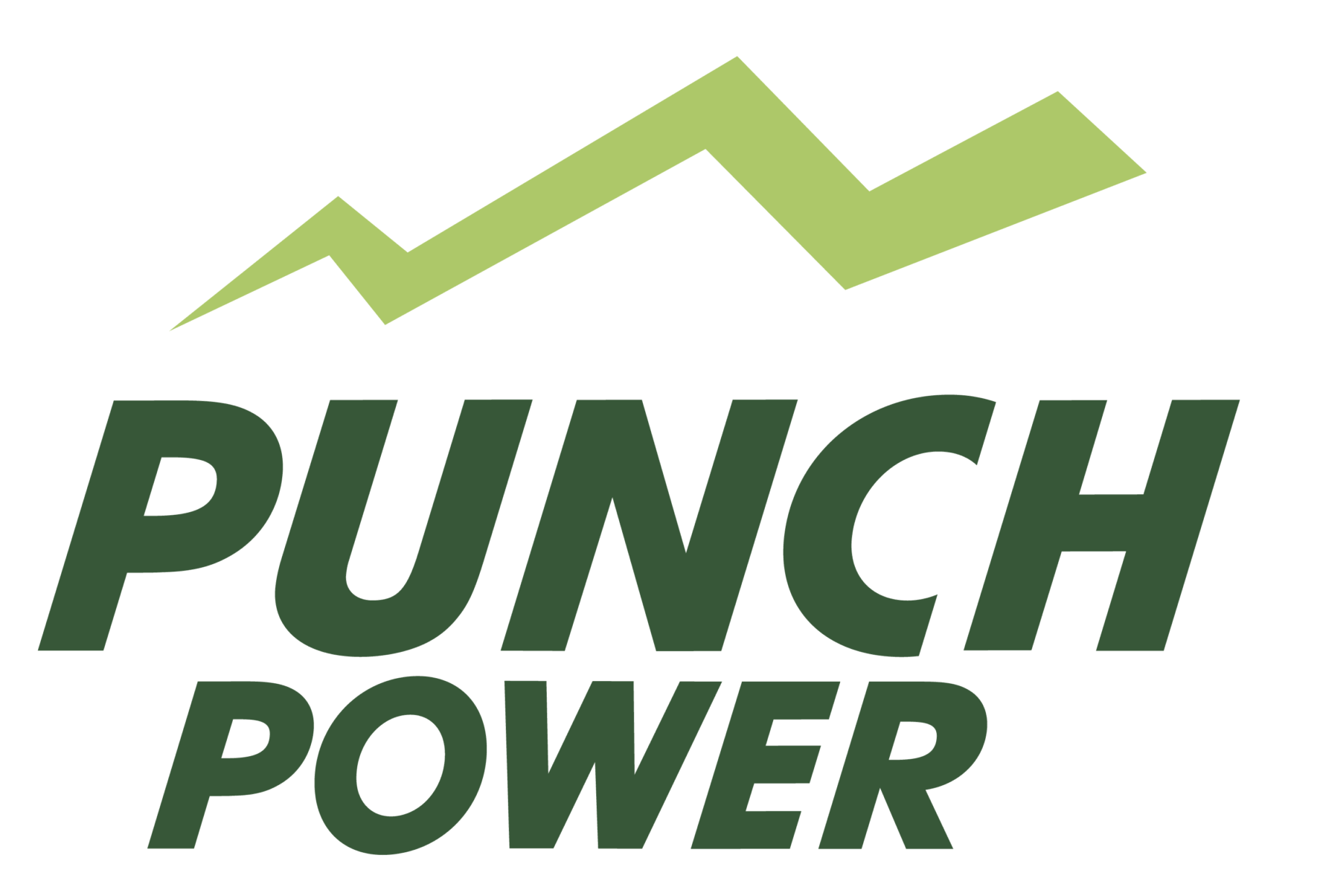 Logo Punch Power
